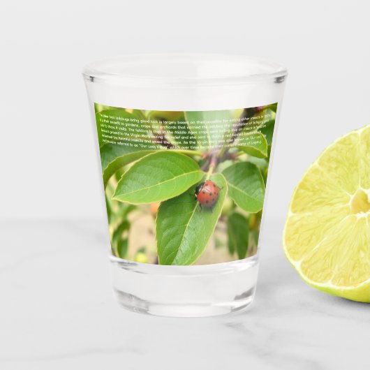 Verre A Shot Ladybug Chanceuse (Devant)