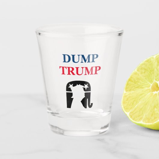 Verre A Shot L'anti-président Donald Trump (Devant)