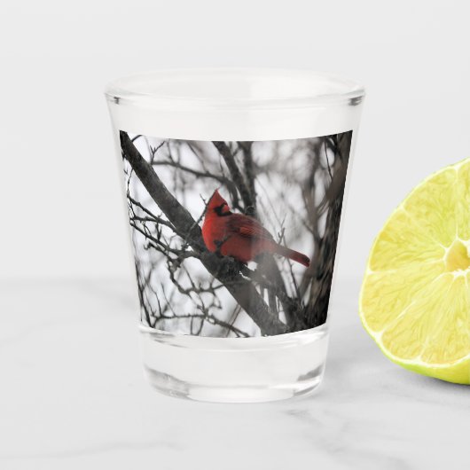 Verre A Shot Le M. (Devant)