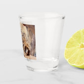 Verre A Shot léopard nébuleux image nature faune exotique (Droite)