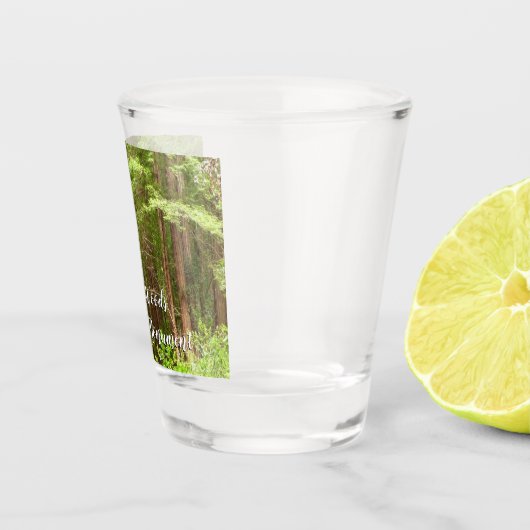 Verre A Shot Les séquoias au monument national de Muir Woods (Droite)