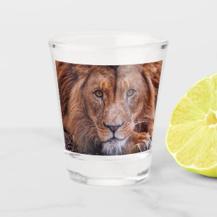 Verre A Shot Lion africain