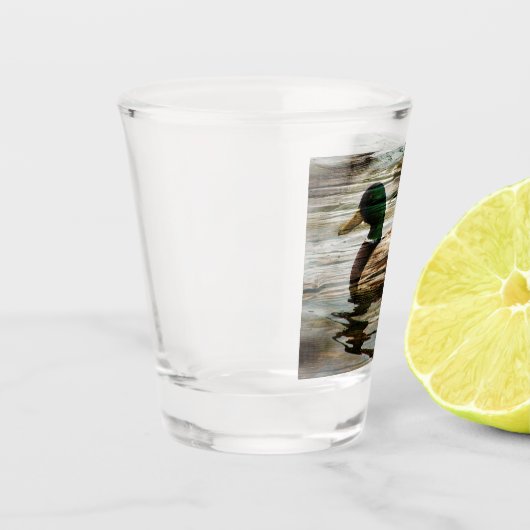 Verre A Shot Mallard Duck (Gauche)
