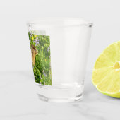 Verre A Shot Marmot dans le Mont Rainier Fleurs sauvages (Droite)