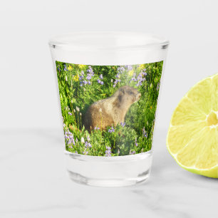 Verre A Shot Marmotte dans les fleurs sauvages du mont Rainier