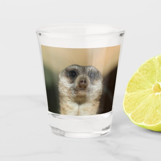 Verre A Shot Meerkat 023 (Devant)