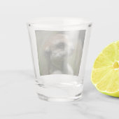 Verre A Shot Meerkat 043 (Dos)