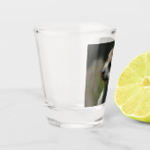 Verre A Shot Meerkat 043 (Gauche)