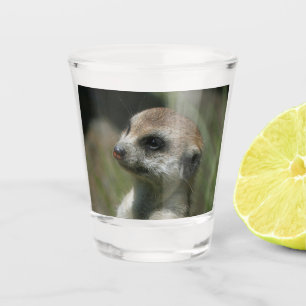 Verre A Shot Meerkat 043