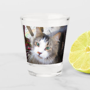 Verre A Shot Mignonne Chatte En Tête