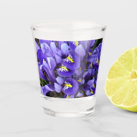 Verre A Shot Miniature Bleu Irises Printemps Floral (Devant)