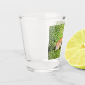 Verre A Shot Molly (Gauche)