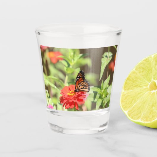 Verre A Shot Monarque d'octobre (Devant)