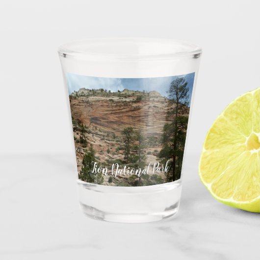 Verre A Shot Murs de roche usés dans le parc national de Zion (Devant)