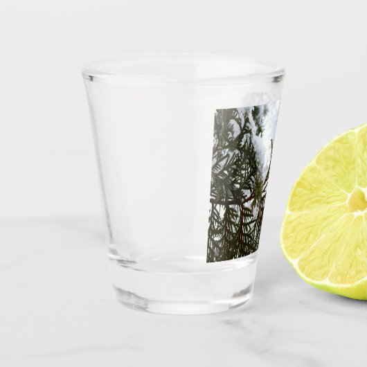 Verre A Shot Neige sur les branches À feuillage persistant (Gauche)