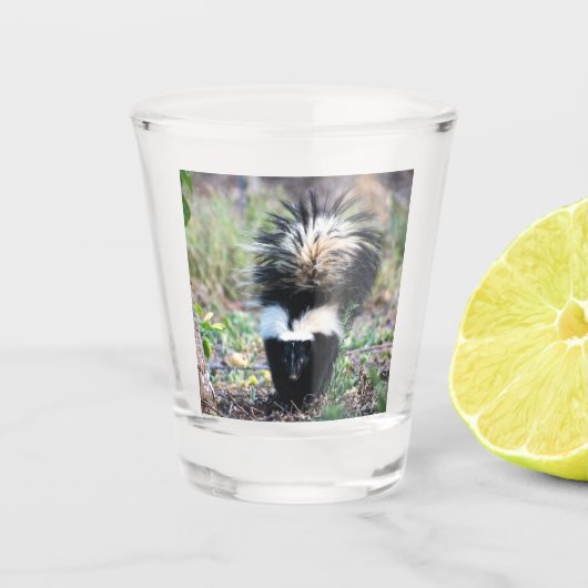 Verre A Shot Noir et blanc (Devant)
