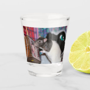 Verre A Shot Nosey Rat
