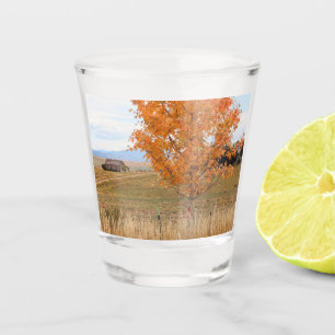 Verre A Shot Octobre lumineux