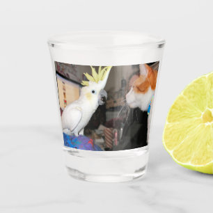 Verre A Shot Ok...me donner l'air grand