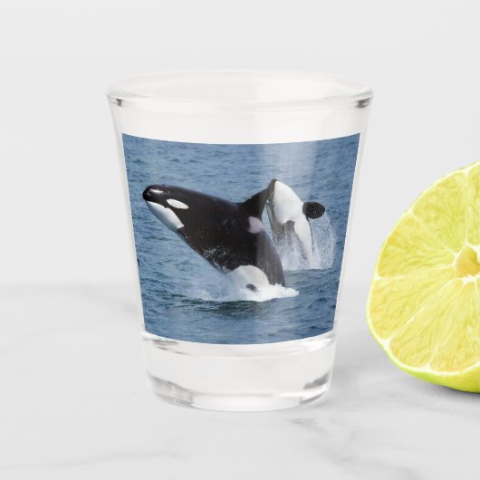Verre A Shot Orca (Devant)