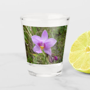 Verre A Shot Orchidée tropicale violette sauvage