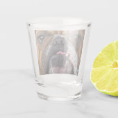 Verre A Shot Oreillers à lancer de Bulldog anglais (Dos)