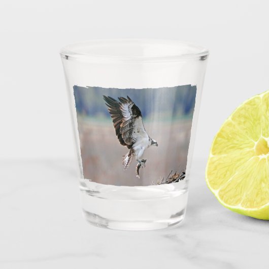 Verre A Shot Osprey (Devant)