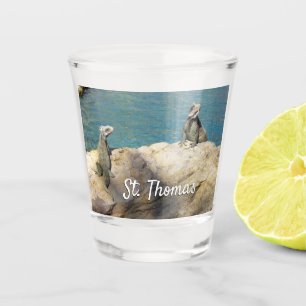 Verre A Shot Paire de Iguanas Photographie de la faune tropical