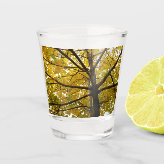 Verre A Shot Paire d'érables jaunes Nature d'automne (Devant)
