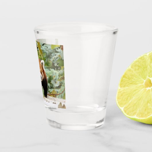 Verre A Shot Panda rouge (Droite)