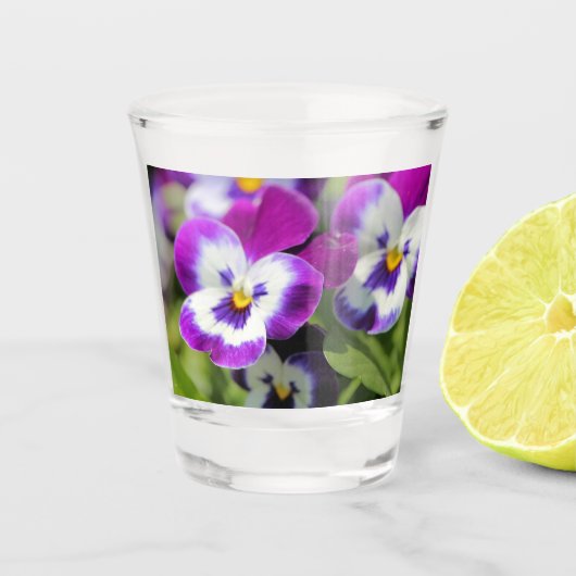 Verre A Shot Pansy (Devant)