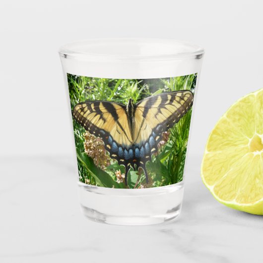 Verre A Shot Papillon à queue d'hirondelle II à Shenandoah (Devant)