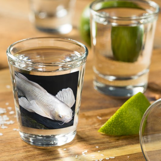 Verre A Shot Papillon blanc Koi Photo