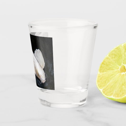 Verre A Shot Papillon blanc Koi Photo (Droite)