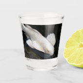 Verre A Shot Papillon blanc Koi Photo (Devant)