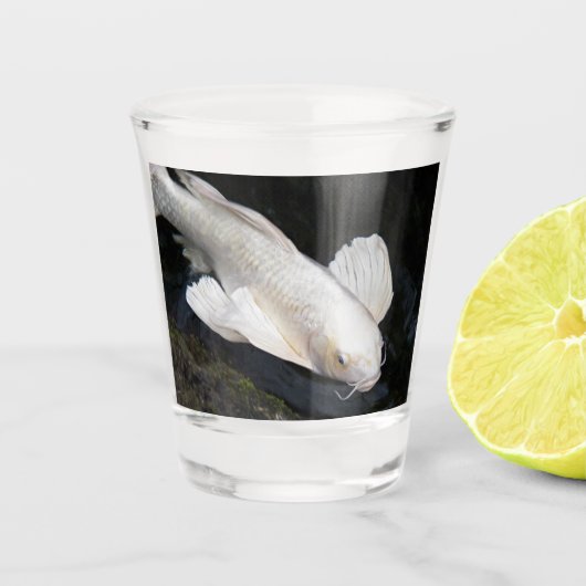 Verre A Shot Papillon blanc Koi Photo (Devant)