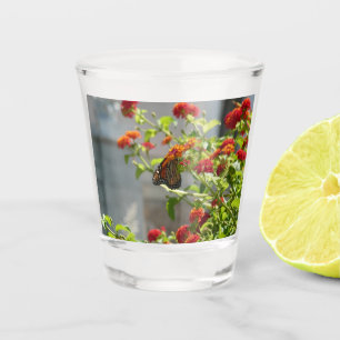 Verre A Shot Papillon monarque sur le papillon rouge Bush