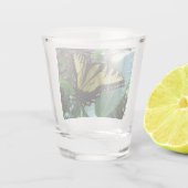 Verre A Shot Papillon Swallowtail I sur Milkweed à Shenandoah (Dos)