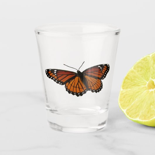 Verre A Shot Papillon Viceroy Belle photographie de la nature (Devant)