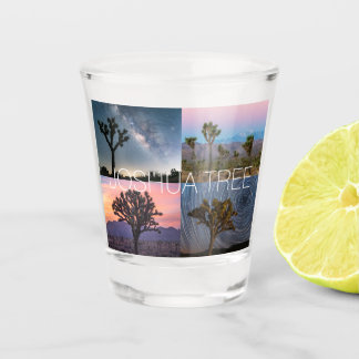 Verre A Shot Parc national de Joshua Tree Sunset Night Paysage