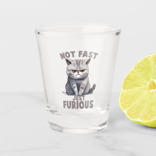 Verre A Shot Pas rapide, juste furieux - Humour de chat gris