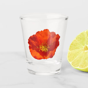 Verre A Shot Pavot rouge de l'Alaska Fleur colorée