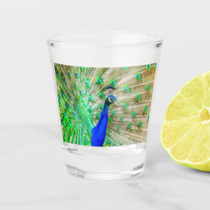 Verre A Shot Peacock Plumage