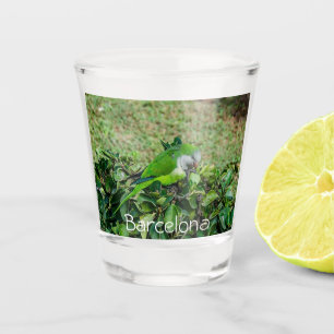 Verre A Shot Perroquet vert