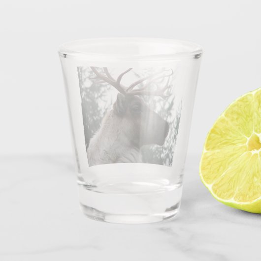 Verre A Shot Photo Caribou Antlered (Dos)