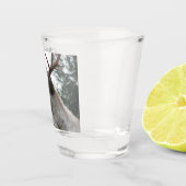 Verre A Shot Photo Caribou Antlered (Droite)