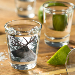 Verre A Shot Photo Caribou Antlered