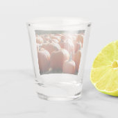 Verre A Shot Photo citrouille pour automne, Halloween ou Thanks (Dos)