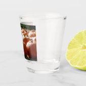Verre A Shot Photo citrouille pour automne, Halloween ou Thanks (Droite)