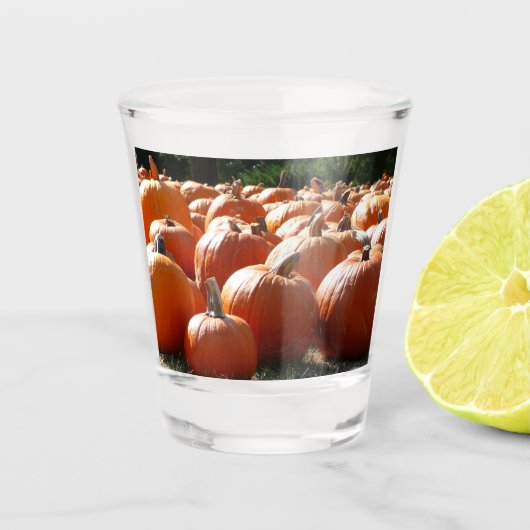 Verre A Shot Photo citrouille pour automne, Halloween ou Thanks (Devant)